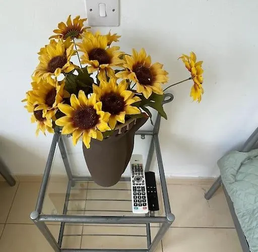 Διαμέρισμα 2 Bed Mountains And Costal Views With Pool Πάφος